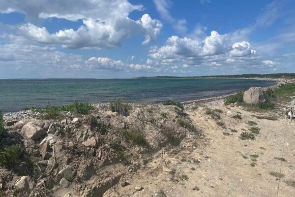 Foto van 3 persoons vakantie huis in Ærøskøbing-By Traum - Outdoor