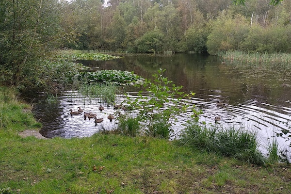 Foto van 6 persoons vakantie huis in Ålbæk - Vakantiehuis in Ålbæk - WaterView
