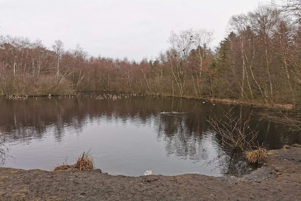 Foto van 6 persoons vakantie huis in Ålbæk - Vakantiehuis in Ålbæk - WaterView