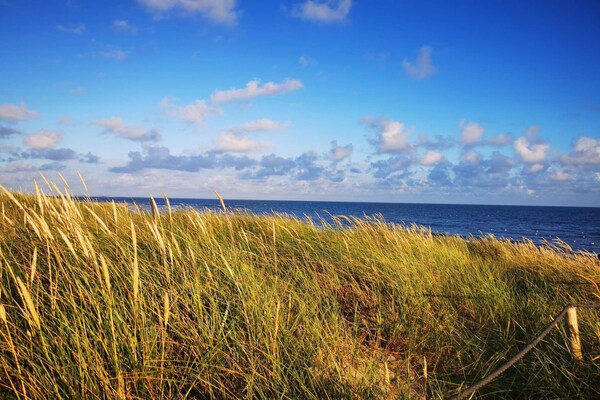 Foto van Luxe vakantieverblijf in Blavand - Vakantiehuis in Blåvand - WaterView