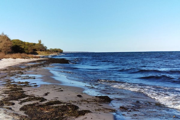 Foto van Luxe vakantieverblijf met zwembad - Vakantiehuis in Idestrup - WaterView