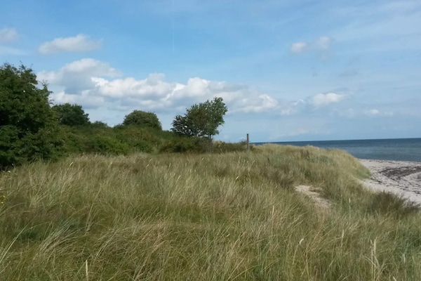 Foto van Luxe vakantieverblijf met zwembad - Vakantiehuis in Idestrup - WaterView