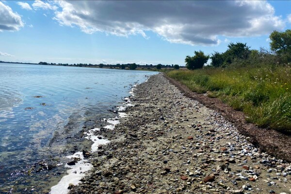 Foto van 4 persoons vakantie huis in Ærøskøbing-By Traum - WaterView