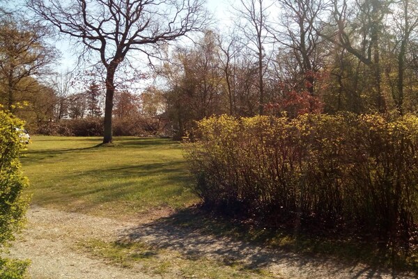 Foto van 4 persoons vakantie huis in Bramming-By Traum - Vakantiehuis in Bramming - Untagged