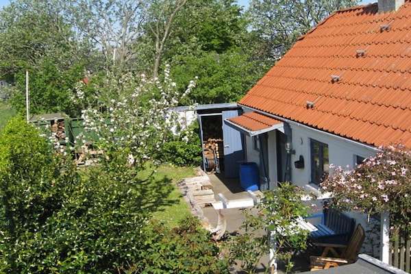 Foto van 4 persoons vakantie huis in Bramming-By Traum - Vakantiehuis in Bramming - Outdoor