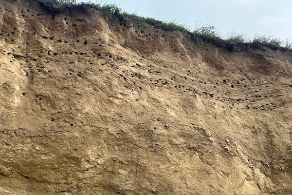 Foto van Luxe strandhuis -- By Traum Ferienwohnungen - Vakantiehuis in Bagenkop - Untagged