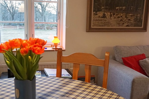 Foto van 6 persoons vakantie huis in ALSTERBRO-By Traum - Vakantiehuis in ALSTERBRO - Indoor