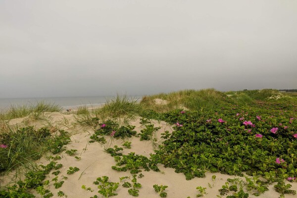 Foto van Luxe vakantieverblijf met zwembad - Vakantiehuis in Blåvand - Untagged
