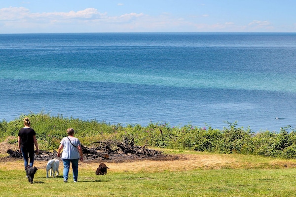 Foto van 6 persoons vakantie huis in Gilleleje - Vakantiehuis in Gilleleje - WaterView