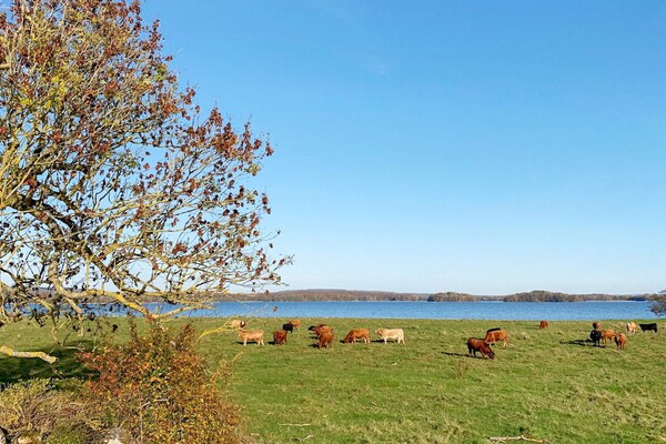 Foto van 4 persoons vakantie huis in KRISTIANSTAD-By Traum - Vakantiehuis in KRISTIANSTAD - View
