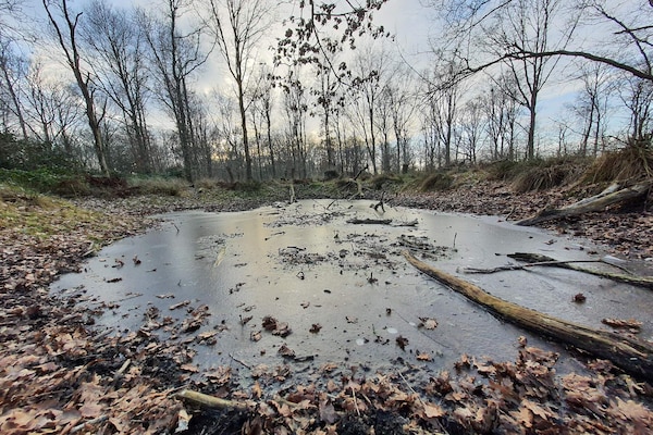Foto van Strandparel met uitzicht -- By Traum Ferienwohnungen - Untagged