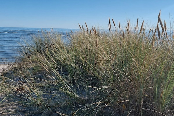 Foto van Luxe strandhuis met spa - Vakantiehuis in Hals - WaterView