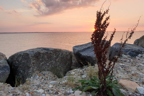 Foto van 10 persoons vakantie huis in Løgstør-By Traum - Vakantiehuis in Løgstør - WaterView