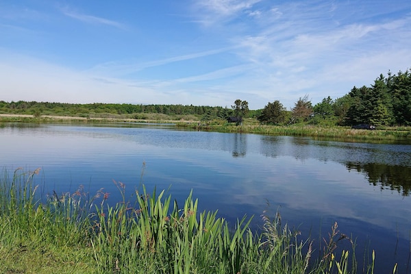 Foto van 10 persoons vakantie huis in Løgstør-By Traum - Vakantiehuis in Løgstør - WaterView