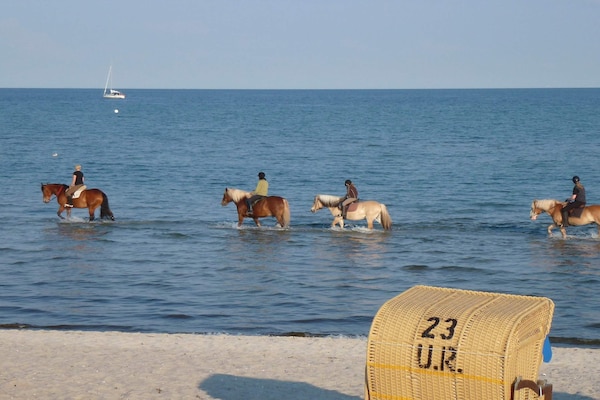 Foto van 6 persoons vakantie huis in GROEMITZ - Vakantiehuis in GROEMITZ - Untagged