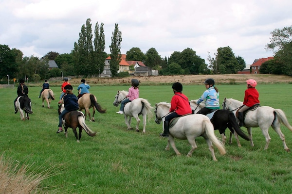 Foto van 6 persoons vakantie huis in GROEMITZ - Vakantiehuis in GROEMITZ - Untagged