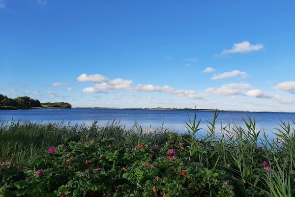Foto van Schilderachtig toevluchtsoord in Boddum - Vakantiehuis in Hurup Thy - WaterView