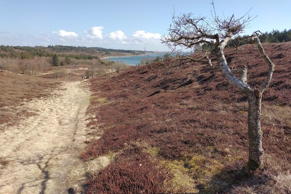 Foto van Schilderachtig toevluchtsoord in Boddum - Vakantiehuis in Hurup Thy - Untagged
