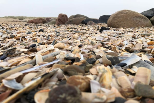 Foto van Luxe strandverblijf -- By Traum Ferienwohnungen - Vakantiehuis in Blåvand - Untagged
