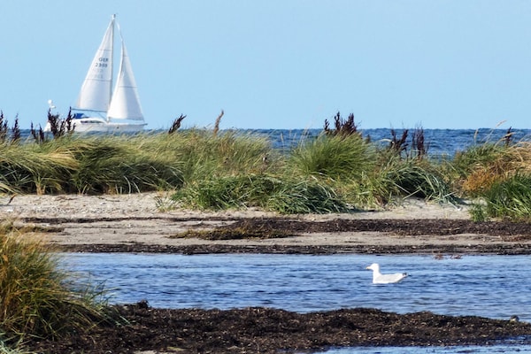 Foto van Vakantiehuis met fantastisch uitzicht - Vakantiehuis in Wendtorf - WaterView