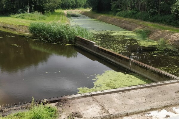 Foto van 8 persoons vakantie huis in Væggerløse-By Traum - Vakantiehuis in Væggerløse - WaterView