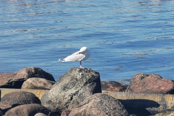 Foto van Strandparel voor 6 -- By Traum Ferienwohnungen - Vakantiehuis in Frørup - WaterView