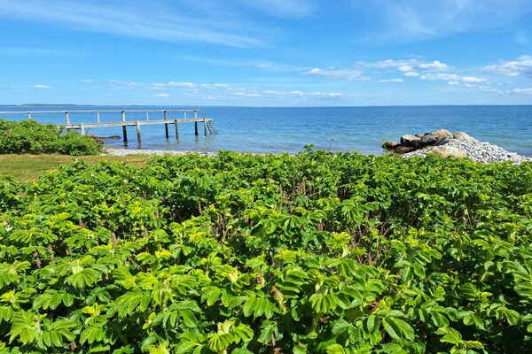 Foto van Strandparel voor 6 -- By Traum Ferienwohnungen - Vakantiehuis in Frørup - WaterView