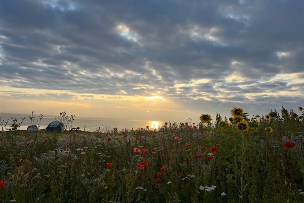 Foto van Strandparel voor 6 -- By Traum Ferienwohnungen - Vakantiehuis in Frørup - Untagged
