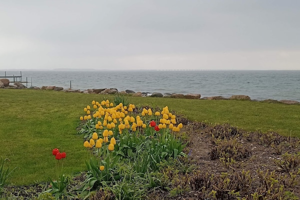 Foto van Strandparel voor 6 -- By Traum Ferienwohnungen - Vakantiehuis in Frørup - Untagged