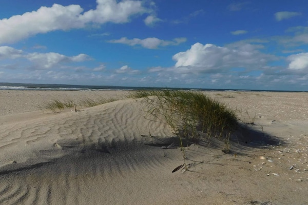 Foto van 25 persoons vakantie huis in Rømø-By Traum - Vakantiehuis in Rømø - Untagged
