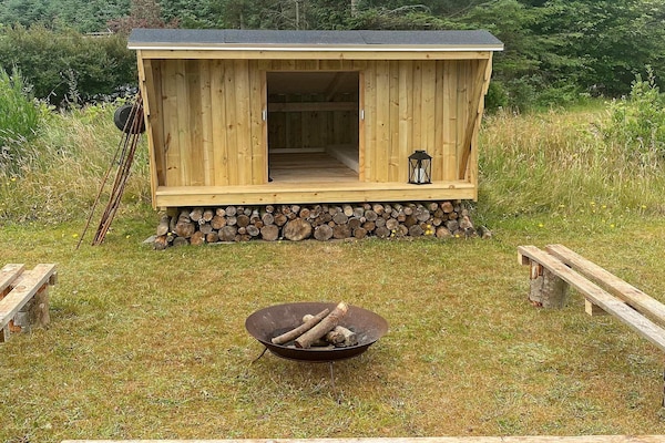 Foto van 6 persoons vakantie huis in Blokhus-By Traum - Vakantiehuis in Blokhus - Outdoor