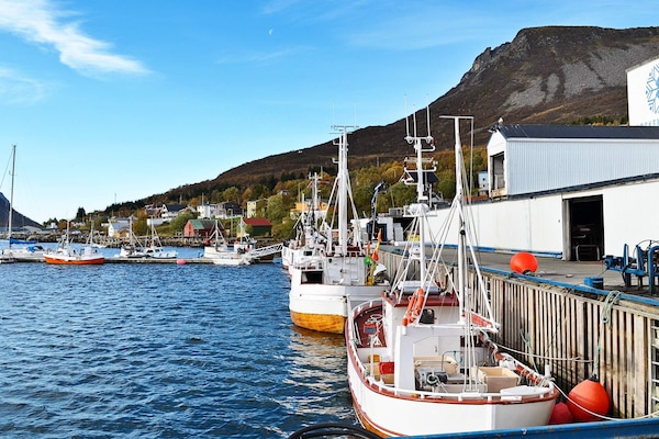 Foto van 4 persoons vakantie huis in Skatvik-By Traum - Vakantiehuis in Skatvik - Untagged