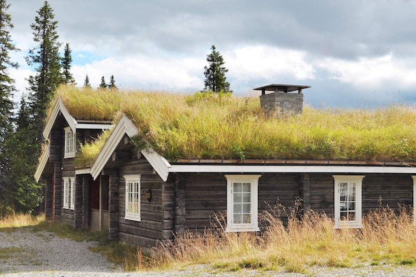 Foto van 12 persoons vakantie huis in Fåvang-By Traum - Vakantiehuis in Fåvang - Outdoor