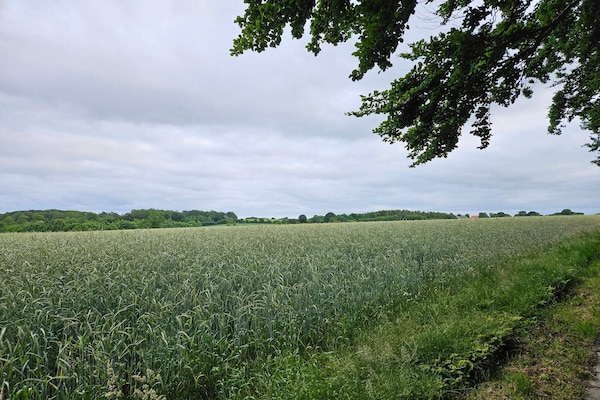 Foto van 5 persoons vakantie huis in Hejls-By Traum - Vakantiehuis in Hejls - Untagged