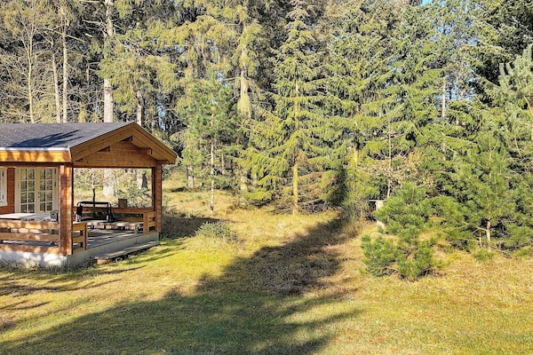 Foto van 4 persoons vakantie huis in Store Fuglede-By Traum - Outdoor