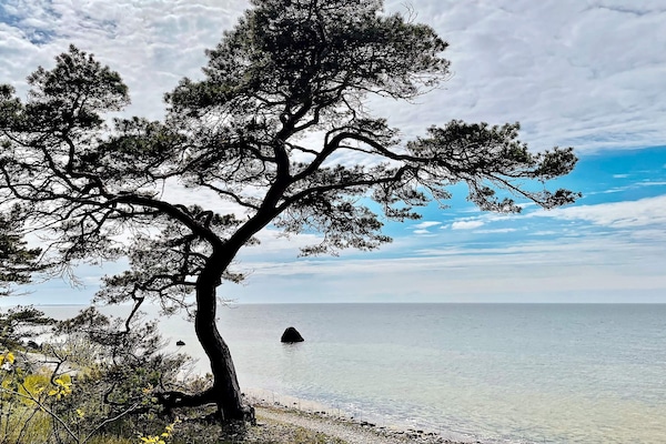 Foto van Moderne strandcottage in Tofta, Gotland - Vakantiehuis in GOTLANDS TOFTA - Untagged