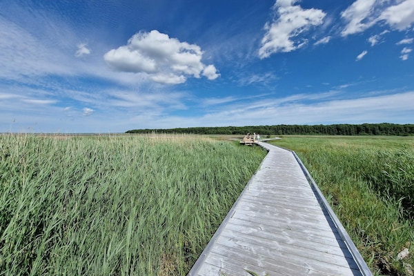 Foto van 4 persoons vakantie huis in Mörbylånga-By Traum - Vakantiehuis in Mörbylånga - Untagged