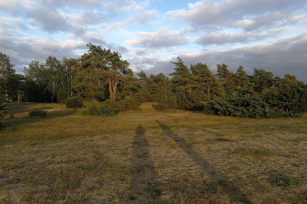 Foto van 5 persoons vakantie huis in Mörbylånga-By Traum - Vakantiehuis in Mörbylånga - Untagged
