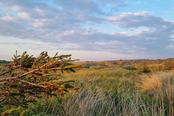 Foto van Vakantiehuis voor 12 personen in Thisted - Vakantiehuis in Thisted - WaterView