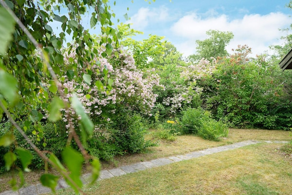 Foto van 6 persoons vakantie huis in Højby-By Traum - Vakantiehuis in Højby - View