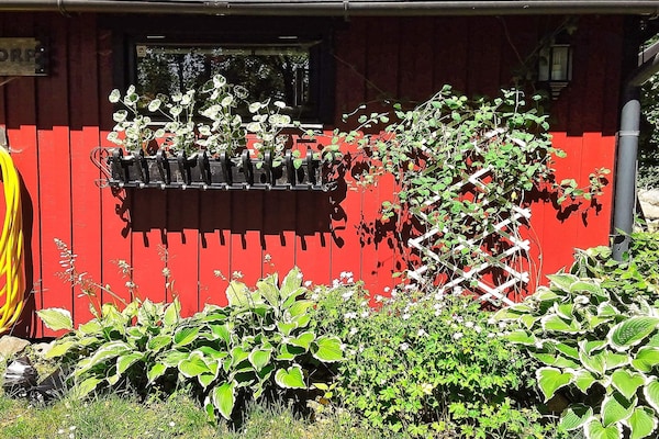 Foto van 4 persoons vakantie huis in TJÖRNARP - Vakantiehuis in TJÖRNARP - Outdoor