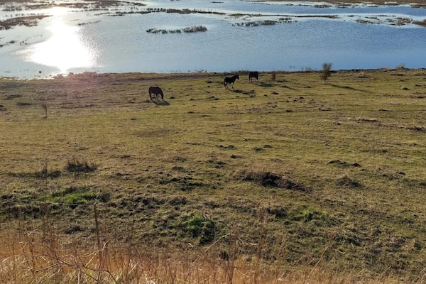 Foto van Familiehuisje voor acht gasten - Vakantiehuis in Bagenkop - WaterView