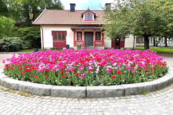 Foto van 4 persoons vakantie huis in LINKÖPING-By Traum - Vakantiehuis in LINKÖPING - Untagged