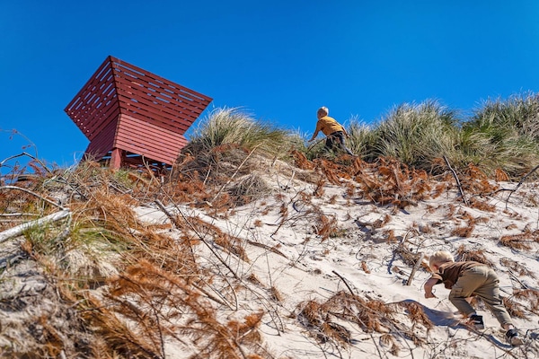 Foto van 4 persoons vakantie huis op een vakantie park in Blokhus - Outdoor