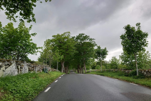 Foto van 4 persoons vakantie huis in EVERÖD-By Traum - Vakantiehuis in EVERÖD - Untagged