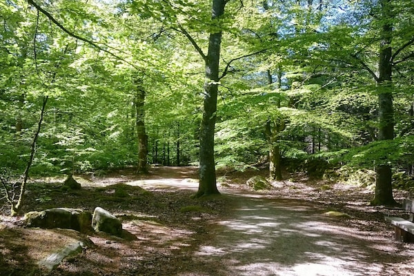 Foto van 4 persoons vakantie huis in EVERÖD-By Traum - Vakantiehuis in EVERÖD - Untagged