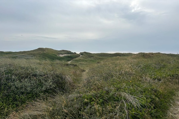 Foto van 6 persoons vakantie huis in Hvide Sande-By Traum - Vakantiehuis in Hvide Sande - Untagged