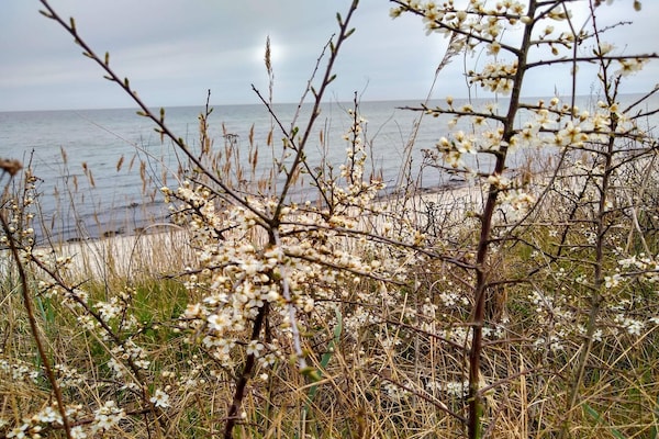 Foto van Rustig strandverblijf - Door Traum - Vakantiehuis in Idestrup - Untagged