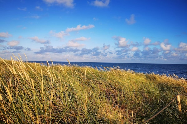 Foto van 24 persoons vakantie huis in Blåvand - Vakantiehuis in Blåvand - WaterView