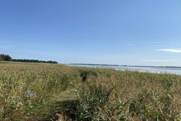 Foto van 6 persoons vakantie huis in Hadsund-By Traum - Vakantiehuis in Hadsund - WaterView